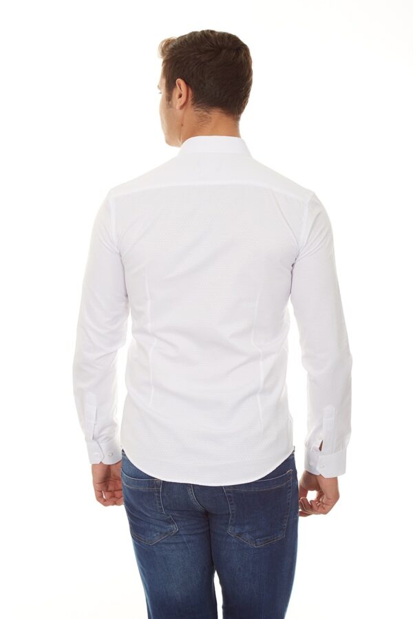 shirt, white, back-3740340.jpg